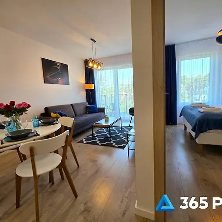 365pam - Olympic - Parking, Sauna, Silownia W Cenie