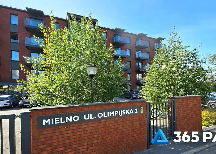 365pam - Olympic ミエルノ