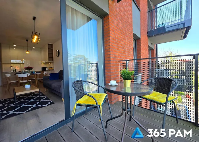 365pam - Olympic ミエルノ