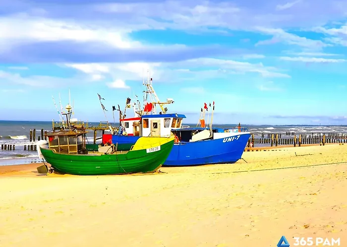 365pam - Olympic ミエルノ